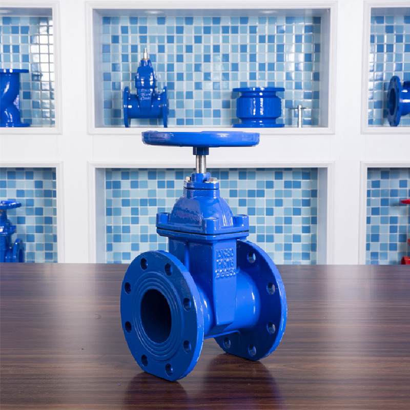 Waa’ee Gate Valves Gurgurtaa caalaatti dubbisaa