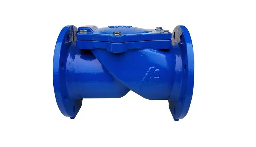 Waa’ee check valve assy bal’inaan dubbisaa